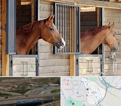 پانسیون اسب در یاغچیان تبریز 