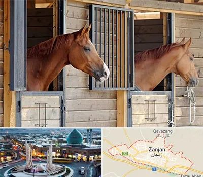 پانسیون اسب در زنجان