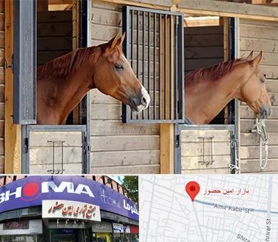 پانسیون اسب در امین حضور