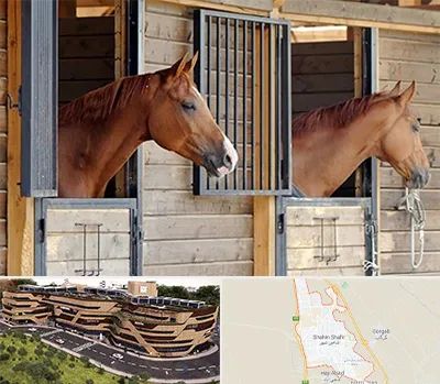 پانسیون اسب در شاهین شهر