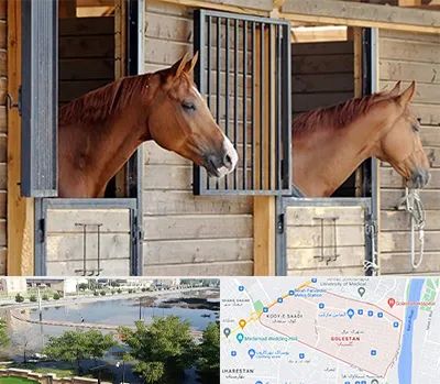 پانسیون اسب در گلستان اهواز 