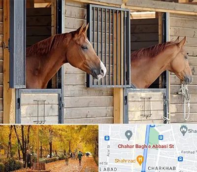 پانسیون اسب در چهارباغ اصفهان 