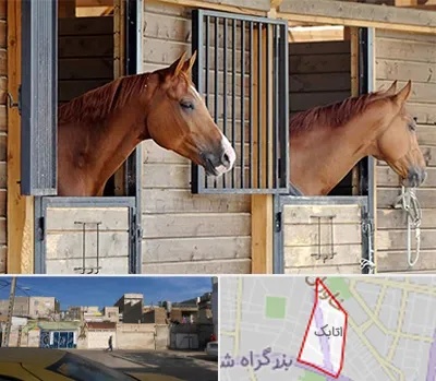 پانسیون اسب در اتابک