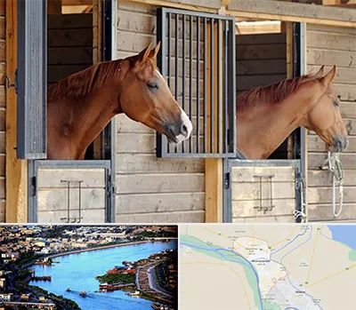 پانسیون اسب در خرمشهر