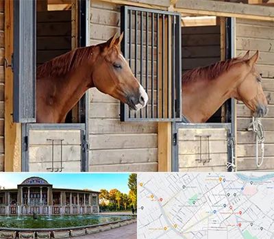 پانسیون اسب در عفیف آباد شیراز 