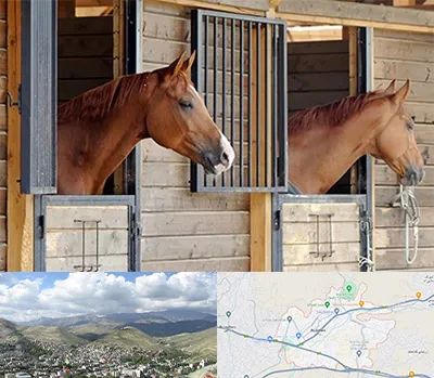 پانسیون اسب در رودهن