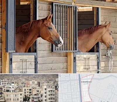 پانسیون اسب در اسکندری