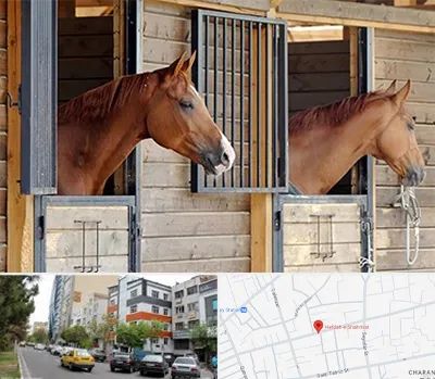 پانسیون اسب در هفده شهریور تبریز 