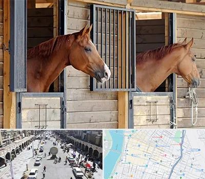 پانسیون اسب در نادری اهواز 