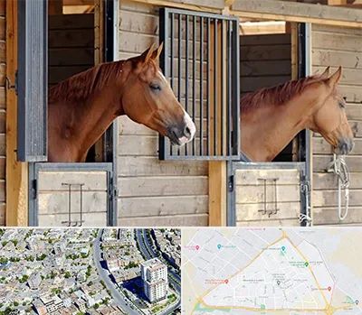 پانسیون اسب در قاسم آباد مشهد 