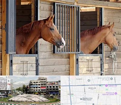 پانسیون اسب در مرکز تهران