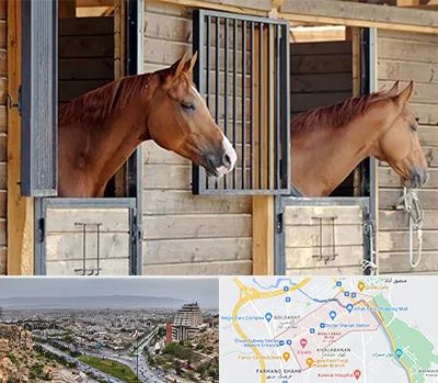 پانسیون اسب در معالی آباد شیراز 