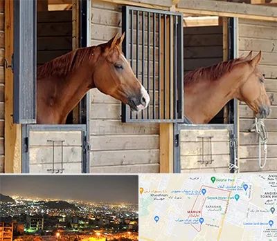 پانسیون اسب در مارلیک کرج 
