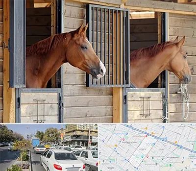 پانسیون اسب در مفتح مشهد 