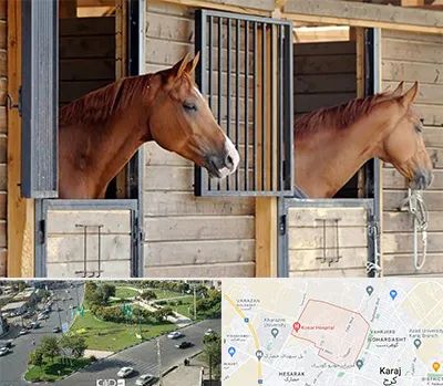 پانسیون اسب در شاهین ویلا کرج 