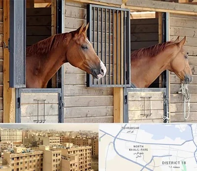 پانسیون اسب در جنوب غرب تهران