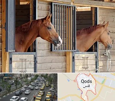 پانسیون اسب در شهر قدس