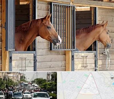 پانسیون اسب در سیدی مشهد 