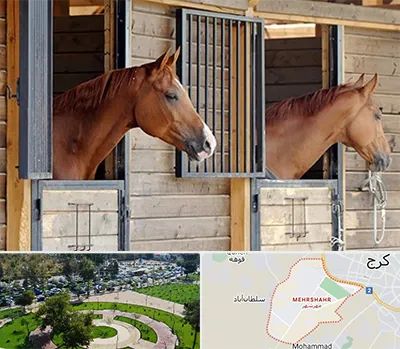 پانسیون اسب در مهرشهر کرج 