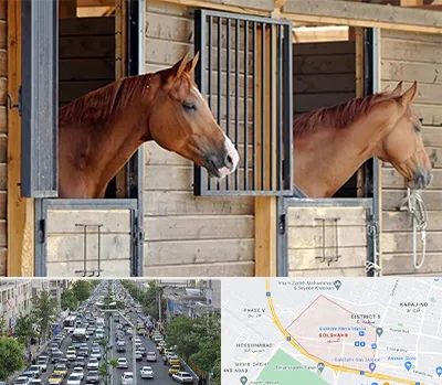 پانسیون اسب در گلشهر کرج 