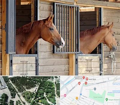 پانسیون اسب در سالاریه قم 