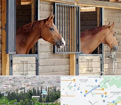 پانسیون اسب در محلاتی شیراز 