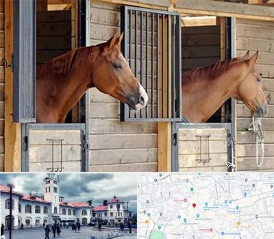 پانسیون اسب در میدان شهرداری رشت 