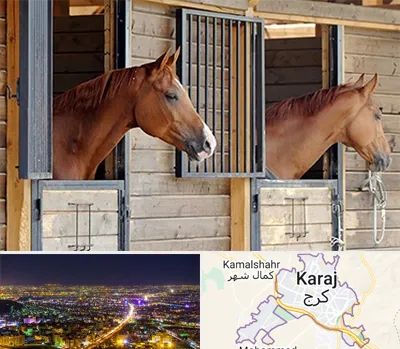 پانسیون اسب در کرج