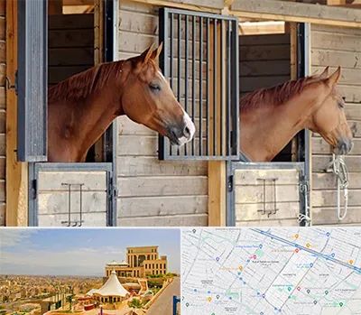 پانسیون اسب در هاشمیه مشهد 