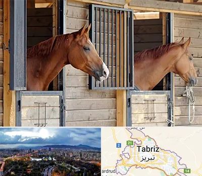 پانسیون اسب در تبریز