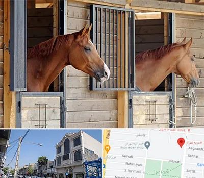 پانسیون اسب در افسریه 
