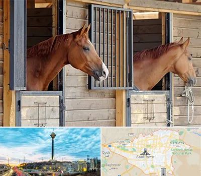 پانسیون اسب در تهران