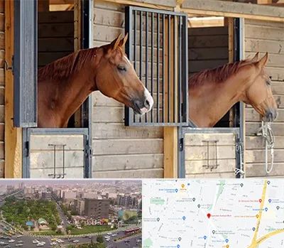 پانسیون اسب در آیت الله کاشانی 