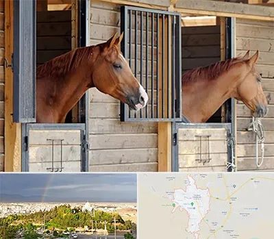 پانسیون اسب در تربت حیدریه