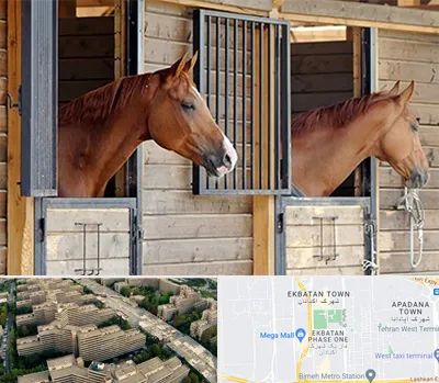 پانسیون اسب در اکباتان 