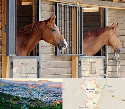 پانسیون اسب در سنندج