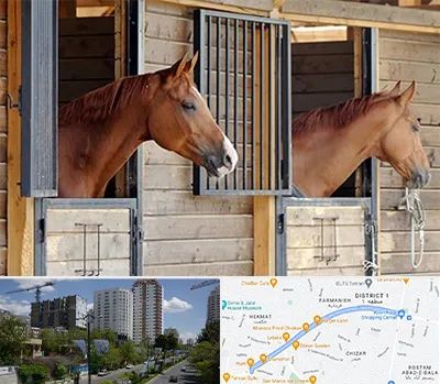 پانسیون اسب در اندرزگو 