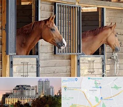 پانسیون اسب در فرشته 