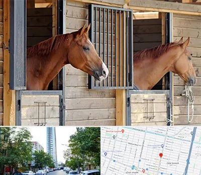 پانسیون اسب در امامت مشهد 