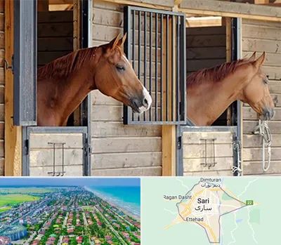 پانسیون اسب در ساری
