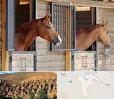 پانسیون اسب در اسکو