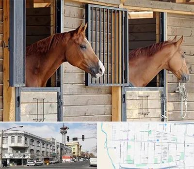 پانسیون اسب در 17شهریور