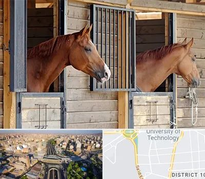 پانسیون اسب در استاد معین 