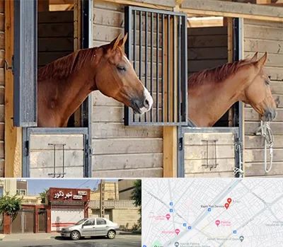 پانسیون اسب در باجک قم 