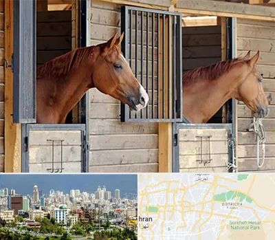 پانسیون اسب در شرق تهران 