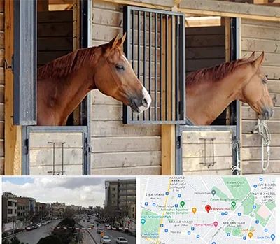 پانسیون اسب در بلوار فردوسی مشهد 