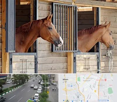 پانسیون اسب در ستارخان 