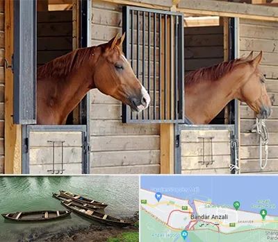 پانسیون اسب در بندر انزلی