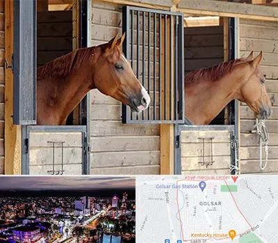 پانسیون اسب در گلسار رشت 