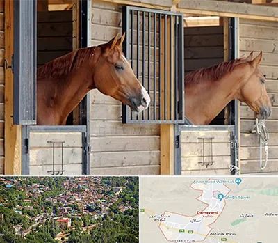 پانسیون اسب در دماوند